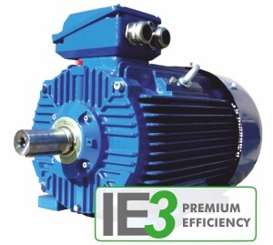Трехфазные двигатели IE3 Premium Efficiency серия 3SIE Catoni